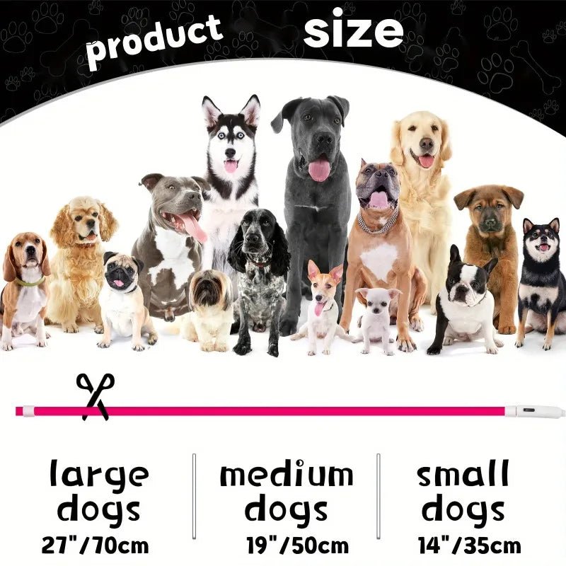 Led Dog Collar Luminous Usb Cat Dog Collar 3 Modes Led Light Glowing Loss Prevention LED Collar for Dogs Pet Dog Accessories