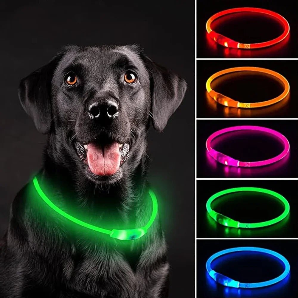 Led Dog Collar Luminous Usb Cat Dog Collar 3 Modes Led Light Glowing Loss Prevention LED Collar for Dogs Pet Dog Accessories
